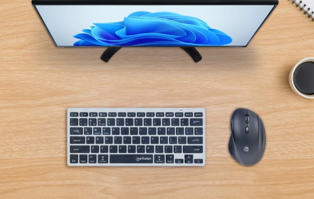 MANHATTAN RATON ERGONOMICO 2-EN-1 NEGRO (190237)