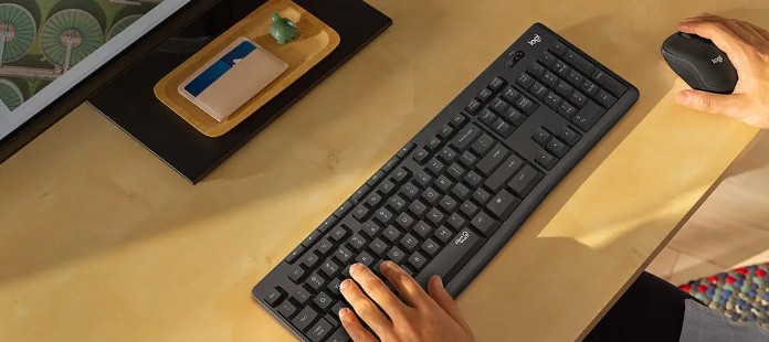 LOGITECH TECLADO&RATON WIFI USB (MK295)